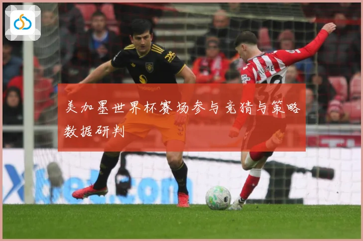 美加墨世界杯赛场参与竞猜与策略数据研判