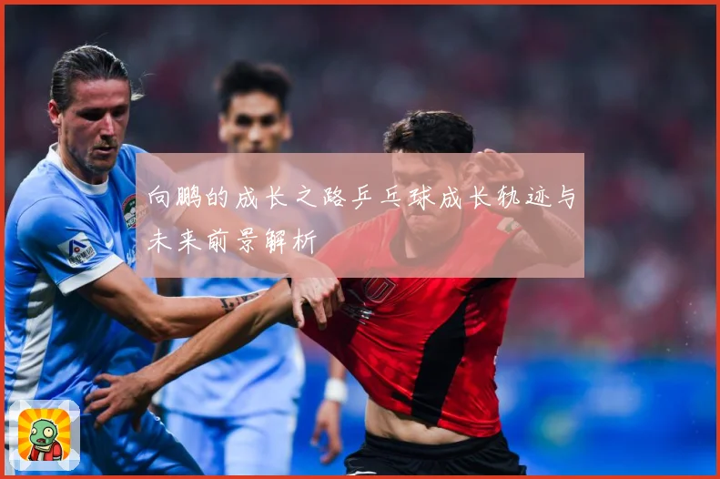 向鹏的成长之路乒乓球成长轨迹与未来前景解析