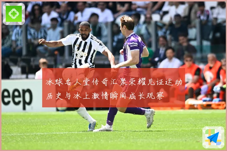 冰球名人堂传奇汇聚荣耀见证运动历史与冰上激情瞬间成长观察