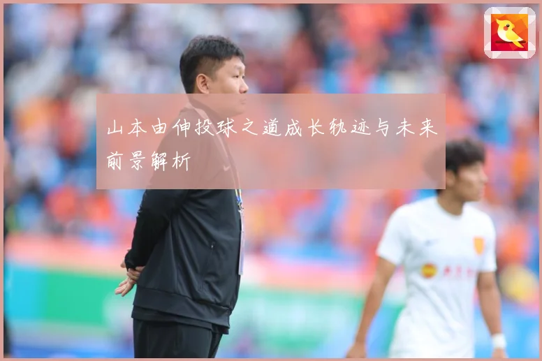 山本由伸投球之道成长轨迹与未来前景解析
