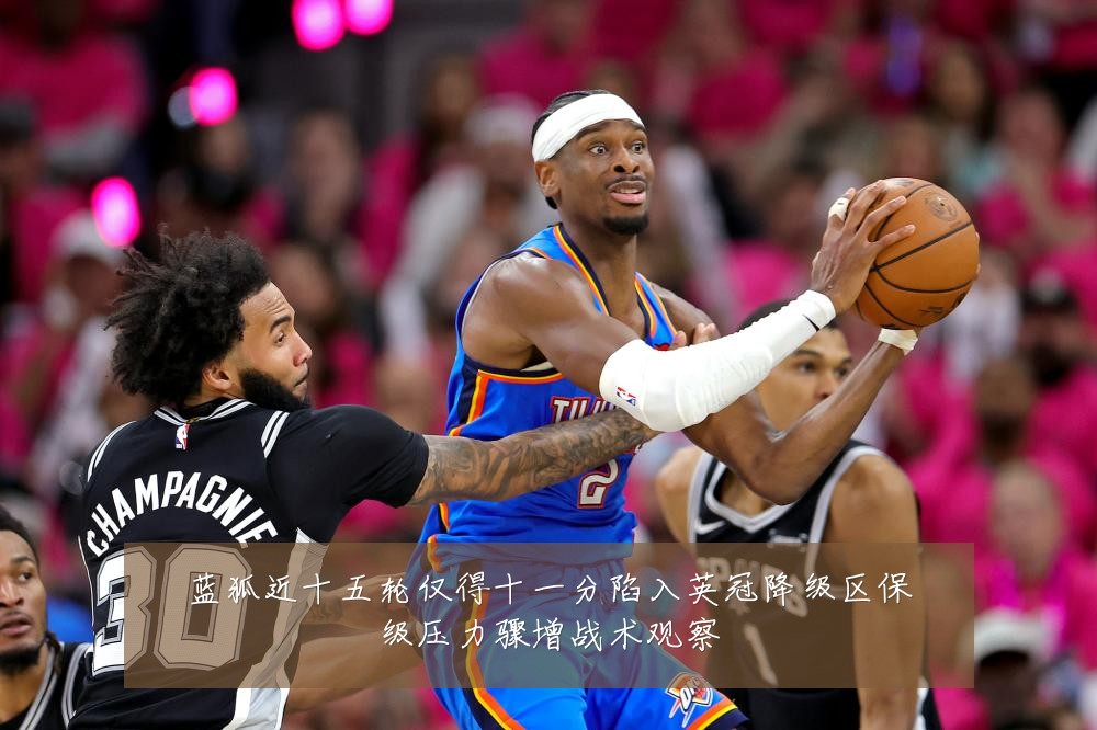 蓝狐近十五轮仅得十一分陷入英冠降级区保级压力骤增战术观察
